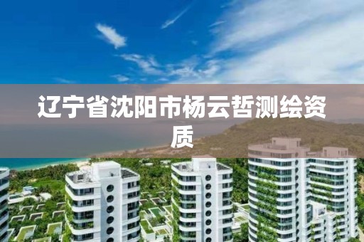 遼寧省沈陽市楊云哲測繪資質