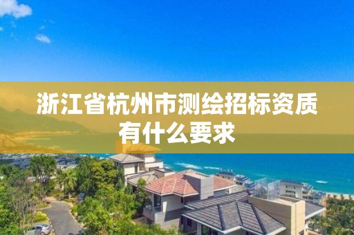 浙江省杭州市測繪招標資質有什么要求