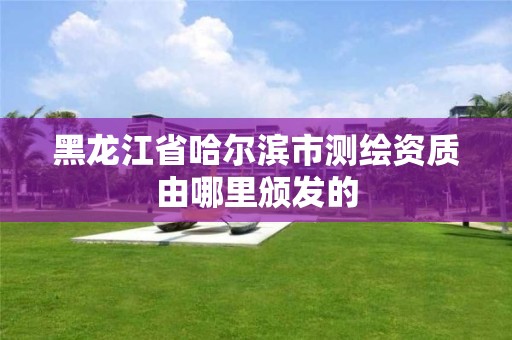 黑龍江省哈爾濱市測繪資質由哪里頒發的