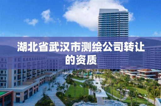 湖北省武漢市測繪公司轉讓的資質