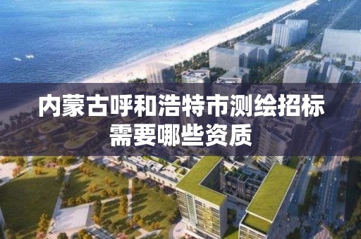 內蒙古呼和浩特市測繪招標需要哪些資質