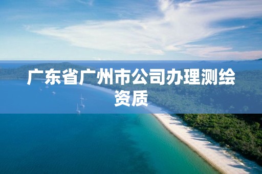 廣東省廣州市公司辦理測繪資質