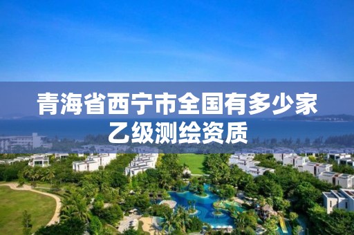 青海省西寧市全國有多少家乙級測繪資質