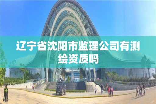 遼寧省沈陽市監理公司有測繪資質嗎