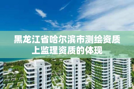 黑龍江省哈爾濱市測繪資質上監理資質的體現