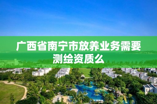 廣西省南寧市放養業務需要測繪資質么