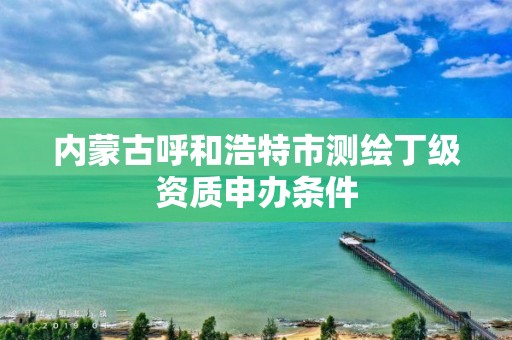 內蒙古呼和浩特市測繪丁級資質申辦條件