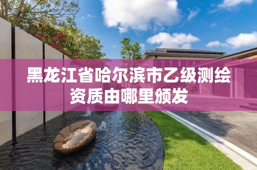 黑龍江省哈爾濱市乙級(jí)測(cè)繪資質(zhì)由哪里頒發(fā)