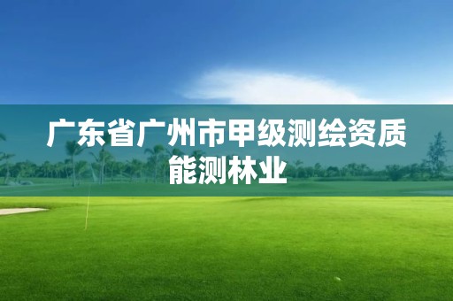 廣東省廣州市甲級測繪資質能測林業