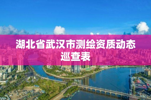 湖北省武漢市測繪資質動態巡查表