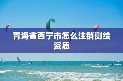 青海省西寧市怎么注銷測繪資質