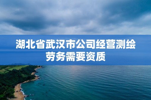 湖北省武漢市公司經營測繪勞務需要資質