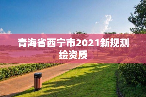 青海省西寧市2021新規(guī)測繪資質(zhì)