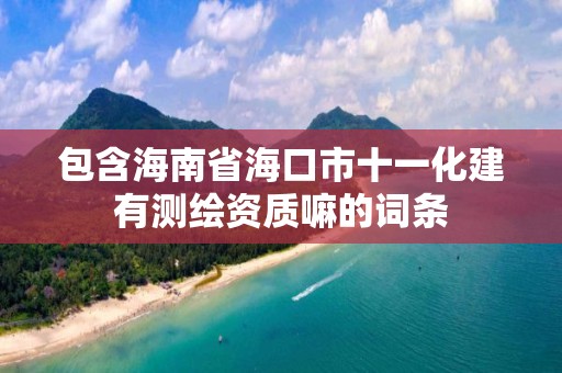 包含海南省海口市十一化建有測繪資質嘛的詞條