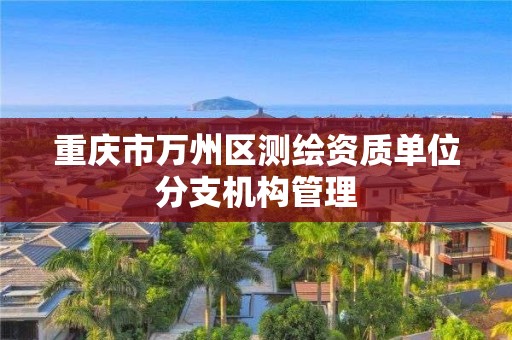 重慶市萬州區(qū)測繪資質(zhì)單位分支機(jī)構(gòu)管理