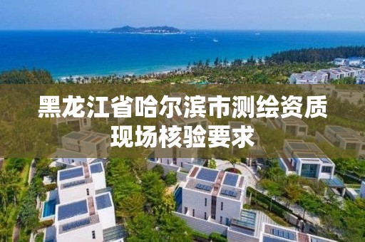 黑龍江省哈爾濱市測繪資質現場核驗要求