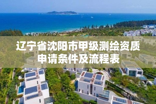 遼寧省沈陽市甲級測繪資質申請條件及流程表