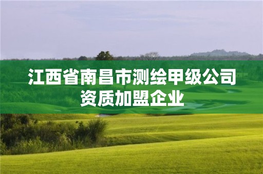 江西省南昌市測繪甲級公司資質加盟企業