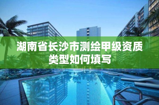 湖南省長沙市測繪甲級資質類型如何填寫