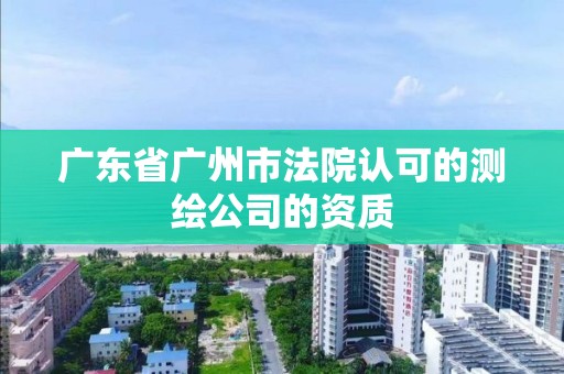 廣東省廣州市法院認可的測繪公司的資質