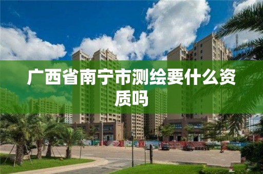 廣西省南寧市測繪要什么資質嗎