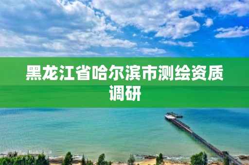 黑龍江省哈爾濱市測繪資質調研