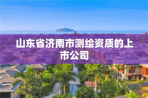 山東省濟南市測繪資質的上市公司