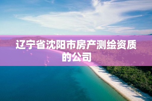 遼寧省沈陽市房產(chǎn)測繪資質(zhì)的公司