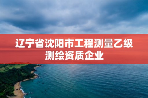 遼寧省沈陽市工程測量乙級測繪資質企業