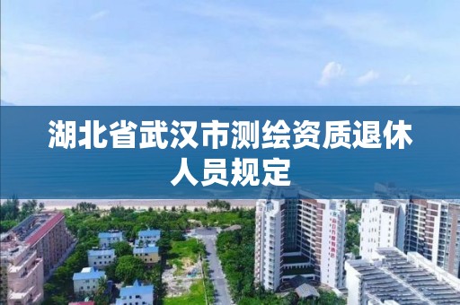 湖北省武漢市測繪資質(zhì)退休人員規(guī)定