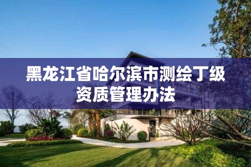 黑龍江省哈爾濱市測繪丁級資質管理辦法