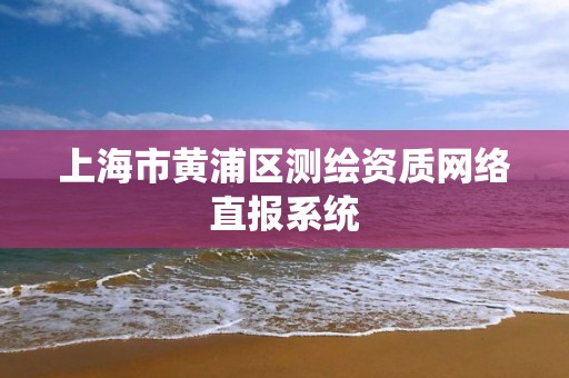 上海市黃浦區測繪資質網絡直報系統