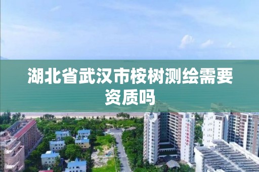 湖北省武漢市桉樹測繪需要資質嗎