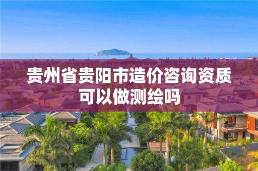 貴州省貴陽市造價咨詢資質可以做測繪嗎