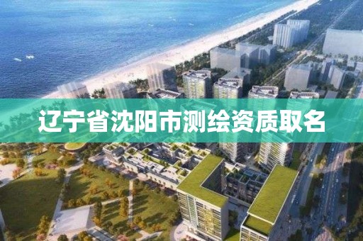 遼寧省沈陽市測繪資質取名