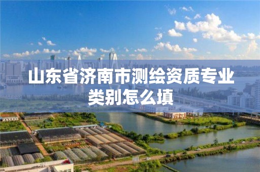 山東省濟南市測繪資質專業類別怎么填