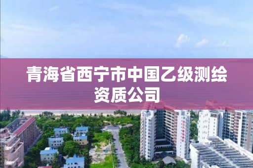 青海省西寧市中國乙級測繪資質公司