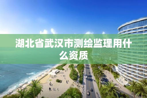 湖北省武漢市測繪監理用什么資質