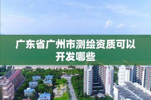 廣東省廣州市測繪資質(zhì)可以開發(fā)哪些