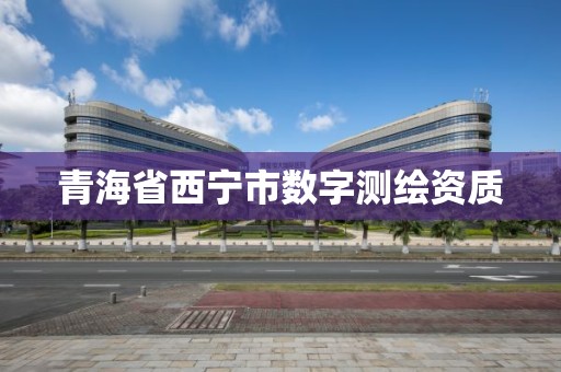 青海省西寧市數字測繪資質