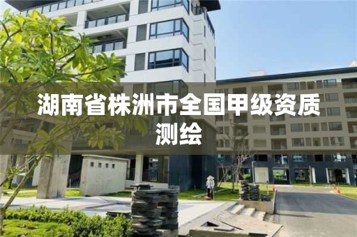 湖南省株洲市全國甲級資質測繪