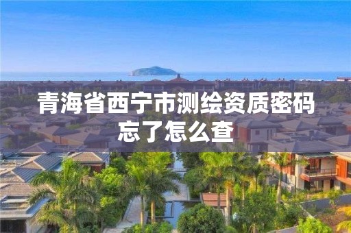 青海省西寧市測繪資質(zhì)密碼忘了怎么查