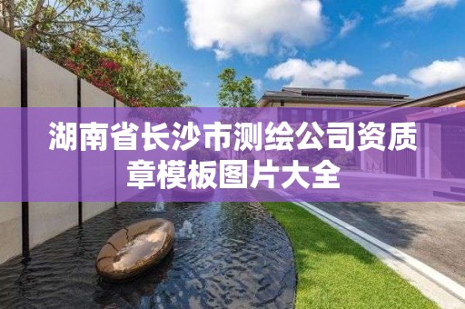 湖南省長沙市測繪公司資質章模板圖片大全