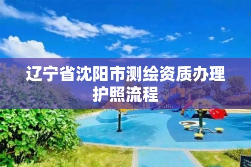 遼寧省沈陽市測繪資質辦理護照流程