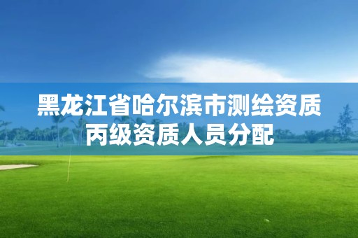 黑龍江省哈爾濱市測繪資質丙級資質人員分配