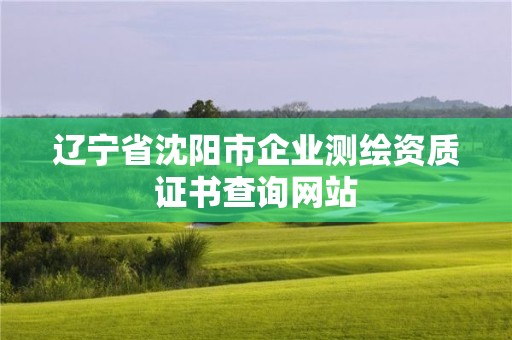 遼寧省沈陽市企業(yè)測繪資質(zhì)證書查詢網(wǎng)站