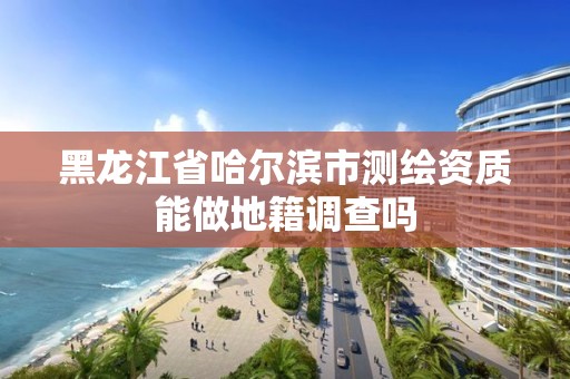 黑龍江省哈爾濱市測繪資質能做地籍調查嗎