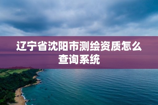 遼寧省沈陽市測繪資質怎么查詢系統