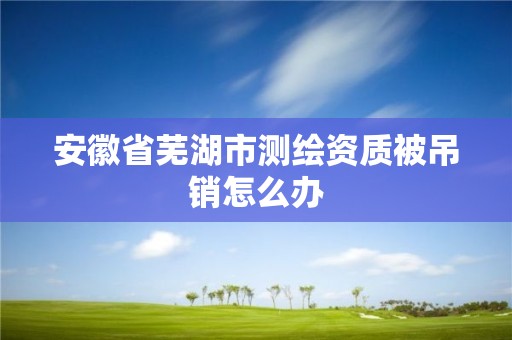 安徽省蕪湖市測繪資質被吊銷怎么辦