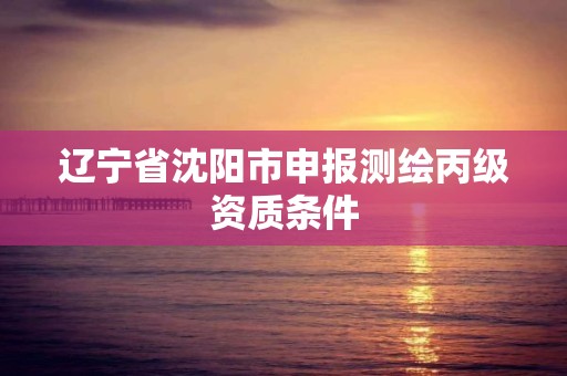 遼寧省沈陽市申報測繪丙級資質條件